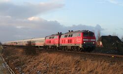 DGEG_BdW_247_218er_Sylt__c__Frank-Ruediger_Wilke