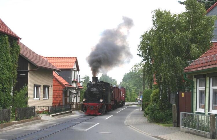 DGEG_BdW_255_Wernigerode_99_6101__c__Wilke__2_.JPG