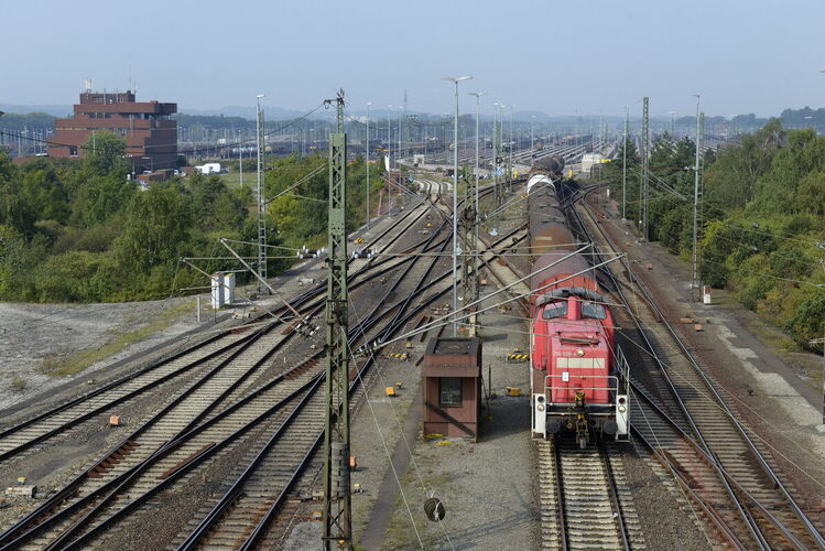 DGEG_BdW_258_296_in_Maschen.JPG