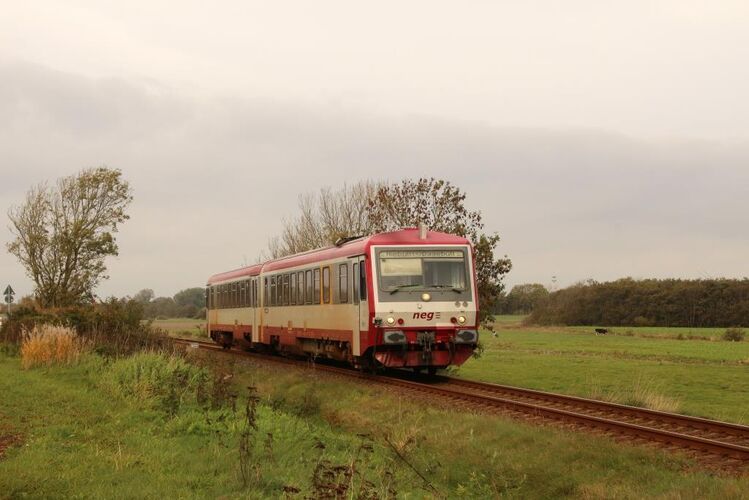 DGEG_BdW_260_Tw_NEG_bei_Maasbuell.JPG