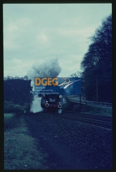 Klicken zum Vergrößern